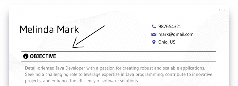 java developer resume career objectives