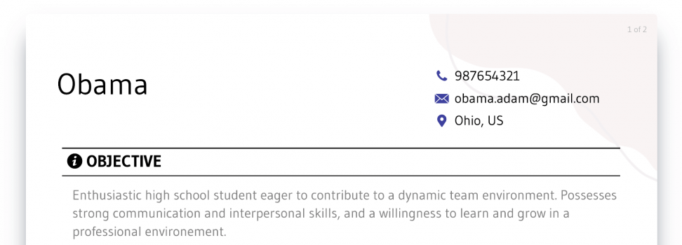 resume objectives hight school students