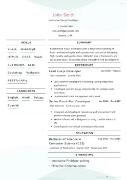 advanced vuejs developer resume examples