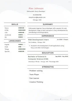 beginner vuejs developer resume example list