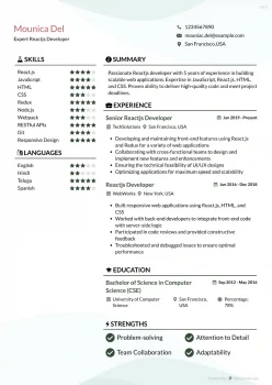 expert reactjs developer resume example