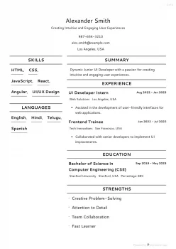 junior ui developer resume examples