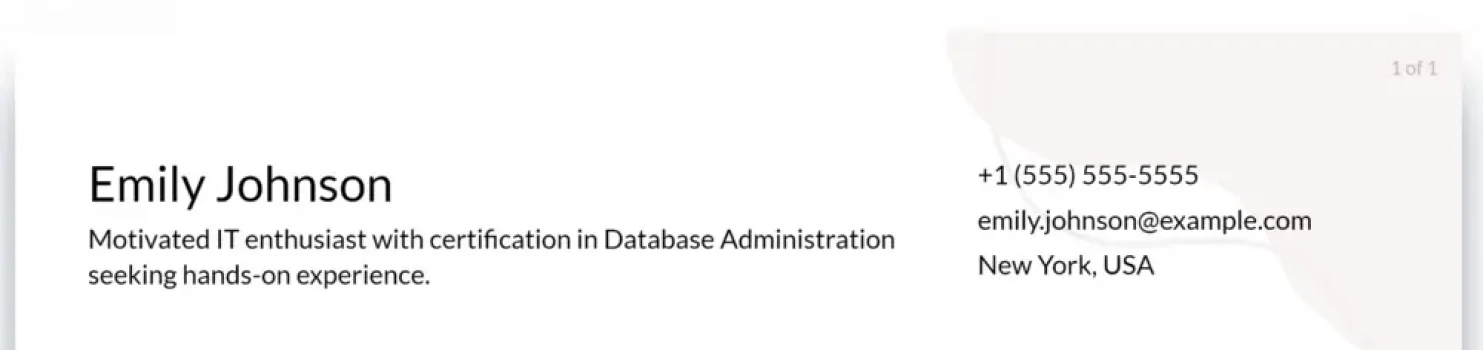 database administrator resume headline example