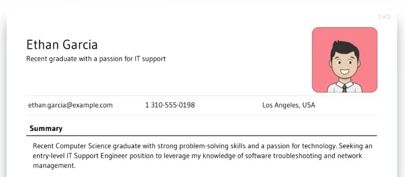 IT Support Engineer resume objective example