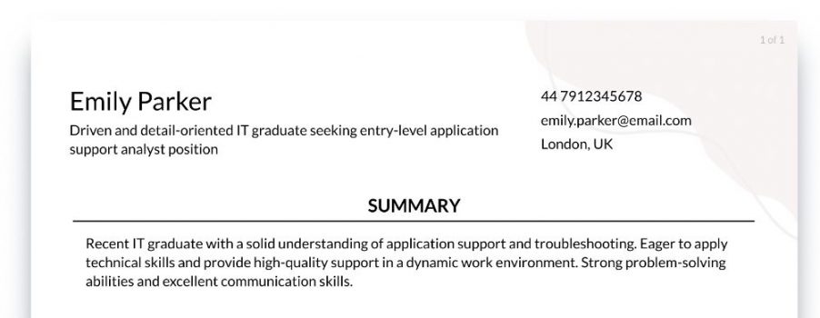 Application Support Analyst Career Objective Examples