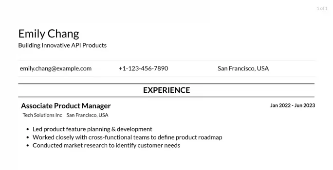 api product manager resume example