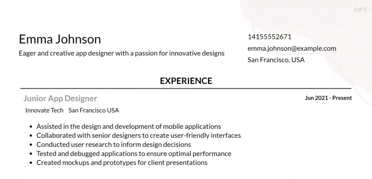 app-designer-resume-responsiilities-example