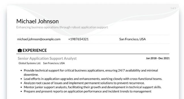 experienced Application Support Analyst roles & responsibilities