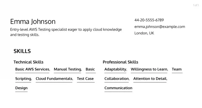 aws-testing-resume-skill-example