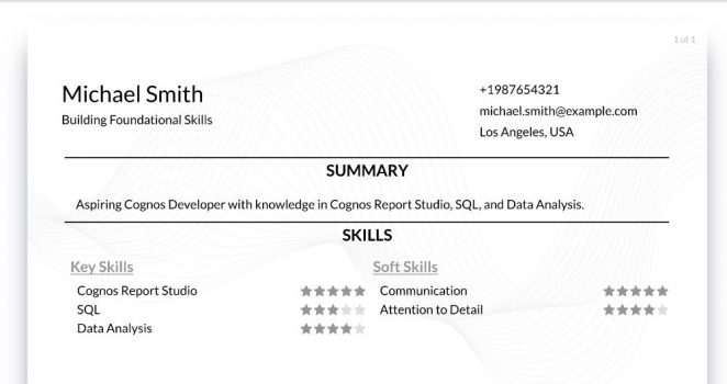 Cognos Developer Skills