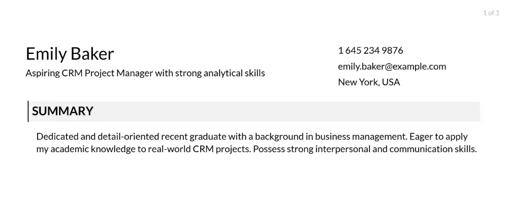 CRM Project Manager