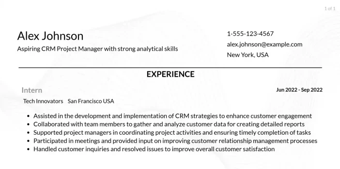 CRM Project Manager