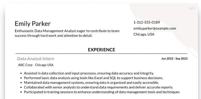 data management analyst roles responsibilities