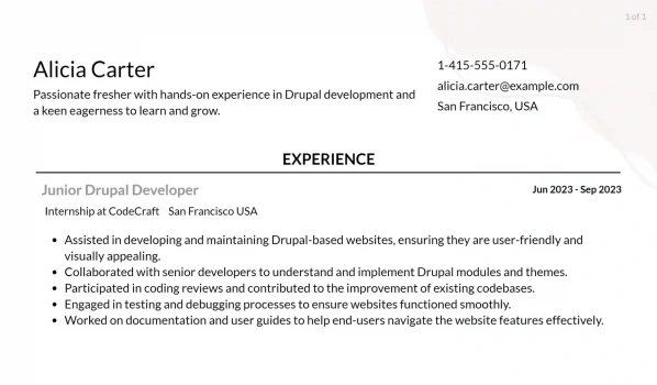 drupal developer resume responsibilities