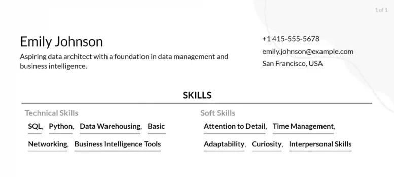 enterprise data architect resume skills examples