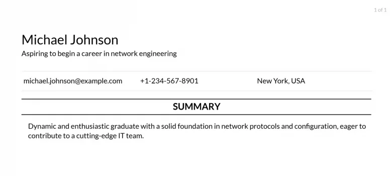 Entry-Level Network Engineer