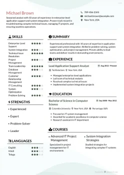 Experienced Application Support Analyst Resume template