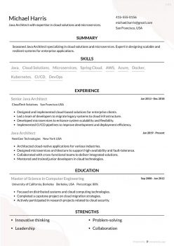 Experienced Java Architect Resume template