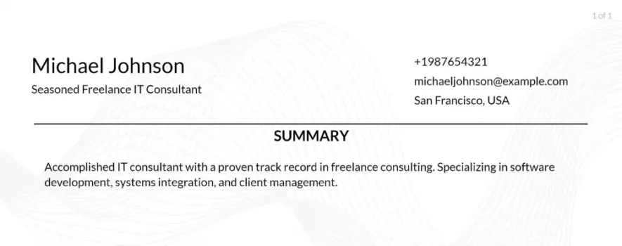 freelance it consultant resume objective