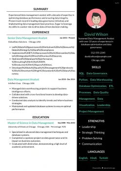 Senior Data Management Analyst Resume examples