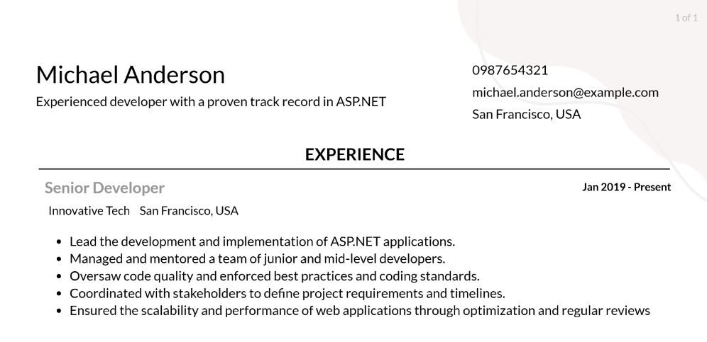 ASP.NET Developer