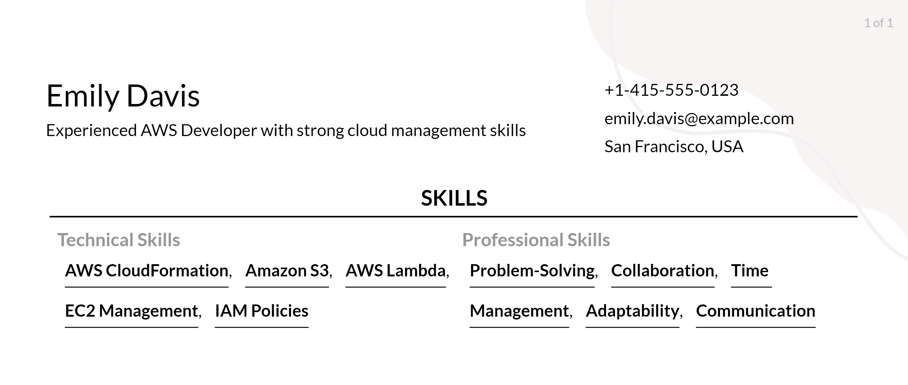 aws developer resume skills