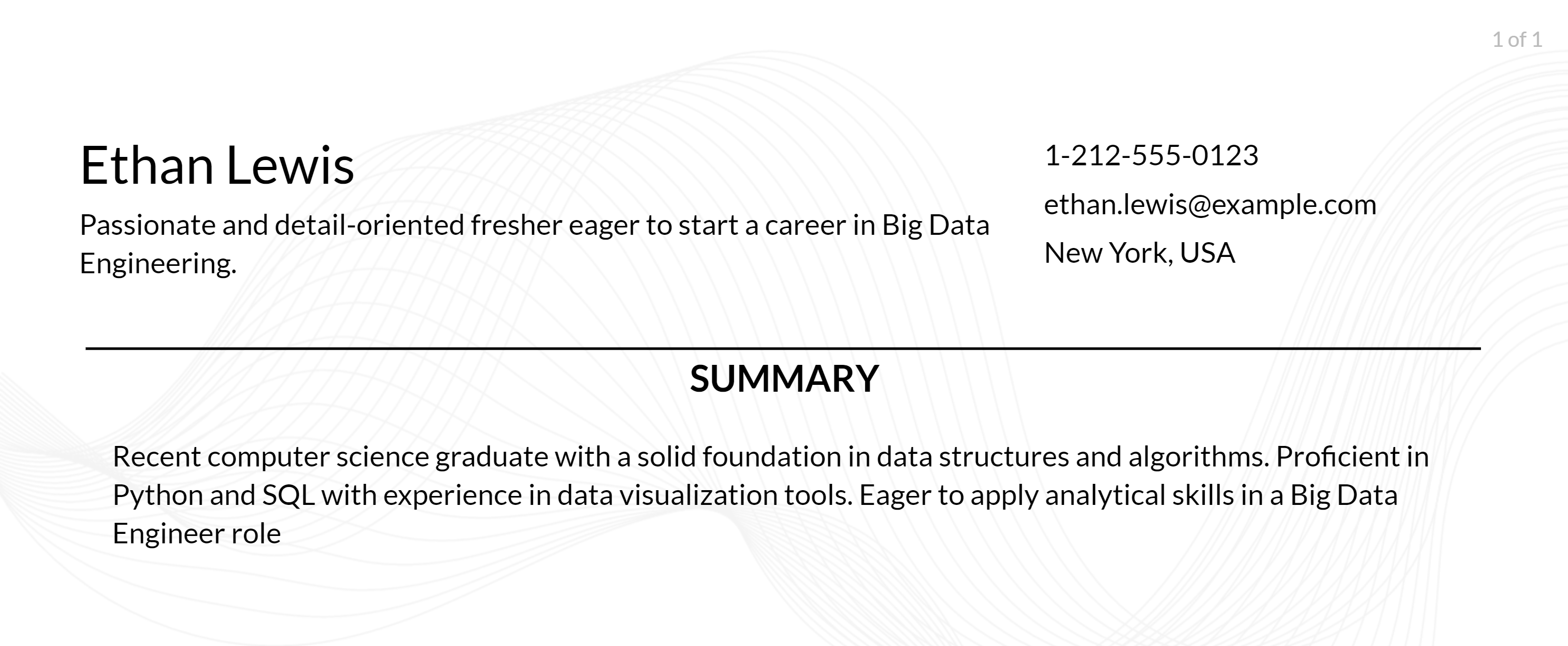 big data engineer objective