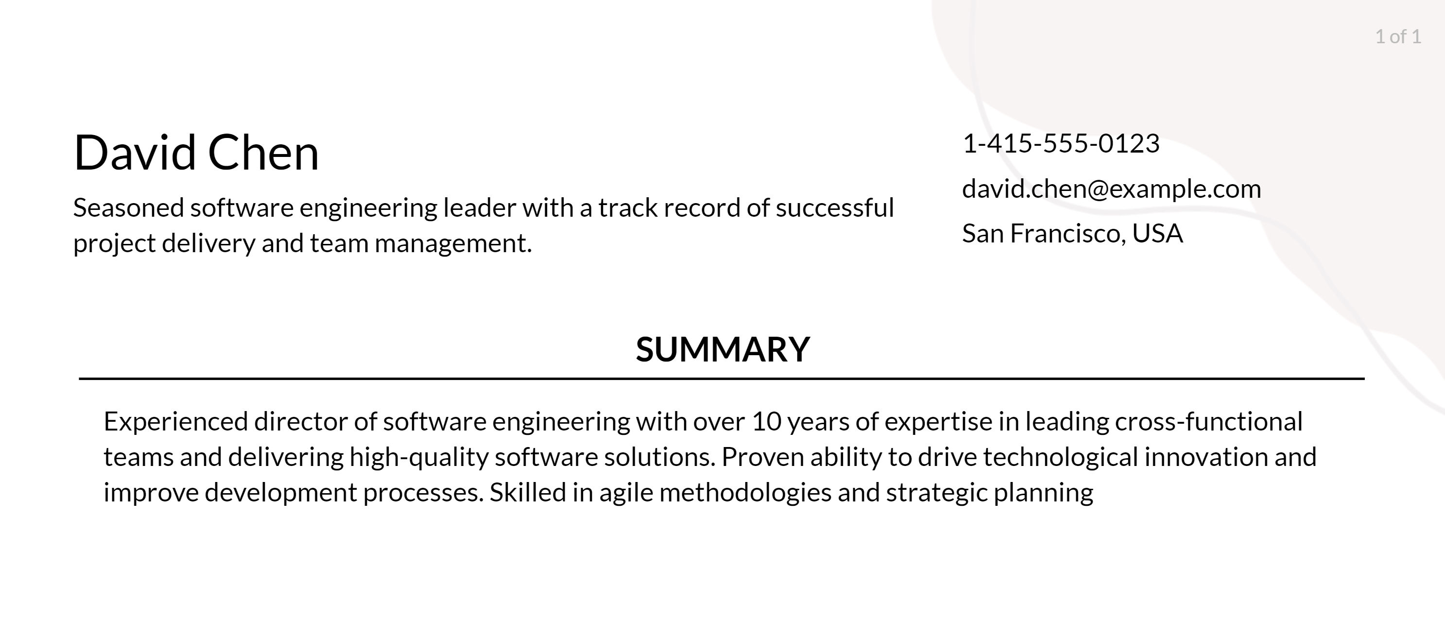 director of software engineering resume objective