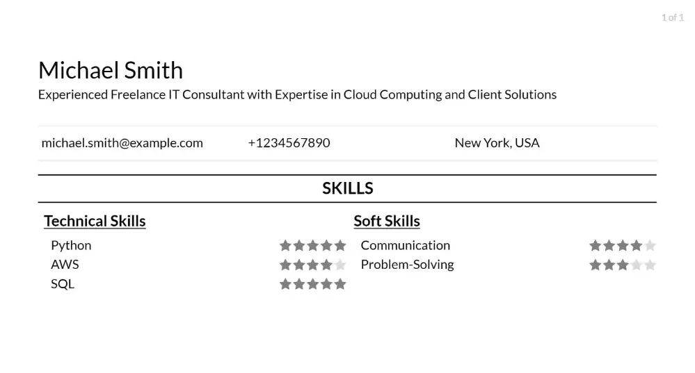 freelance it consultant resume skills