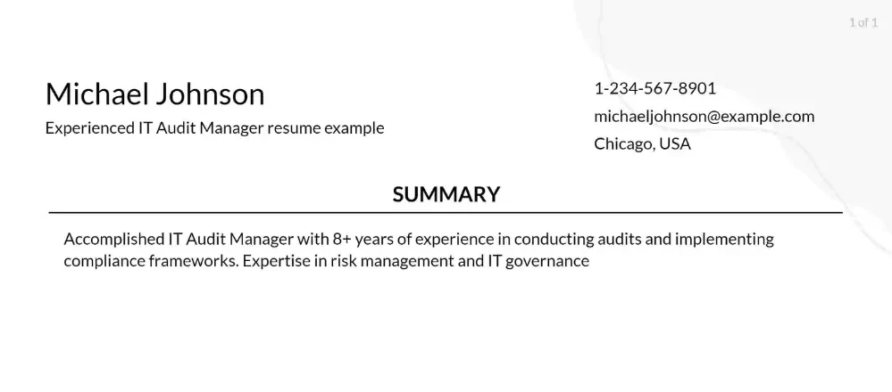 it audit manager resume objective