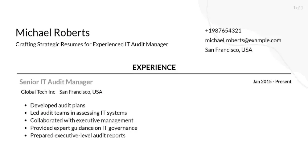 it audit manager resume responsibilities