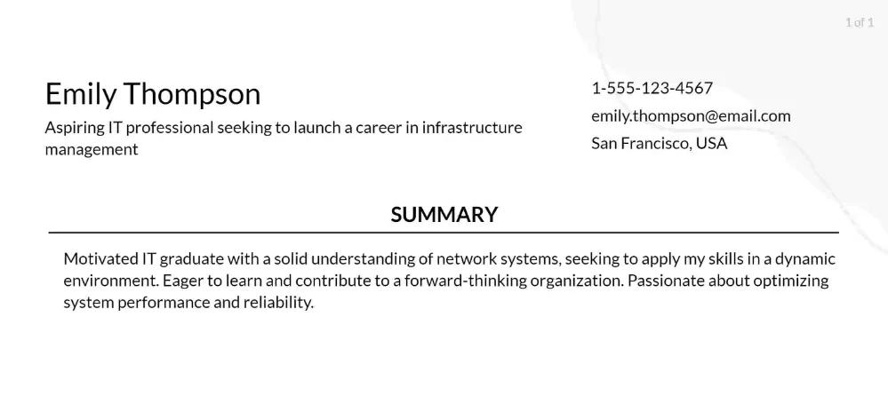 it infrastructure manager resume objective