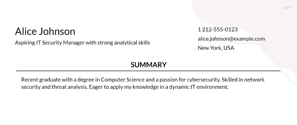 it security manager resume objective