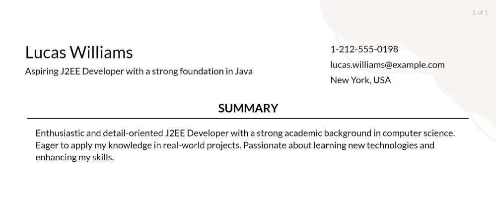 j2ee developer resume objective
