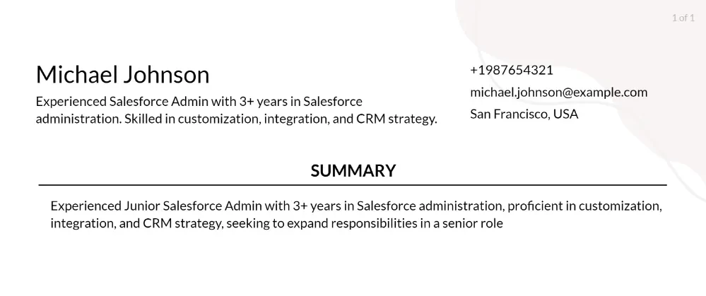 junior salesforce admin resume objective