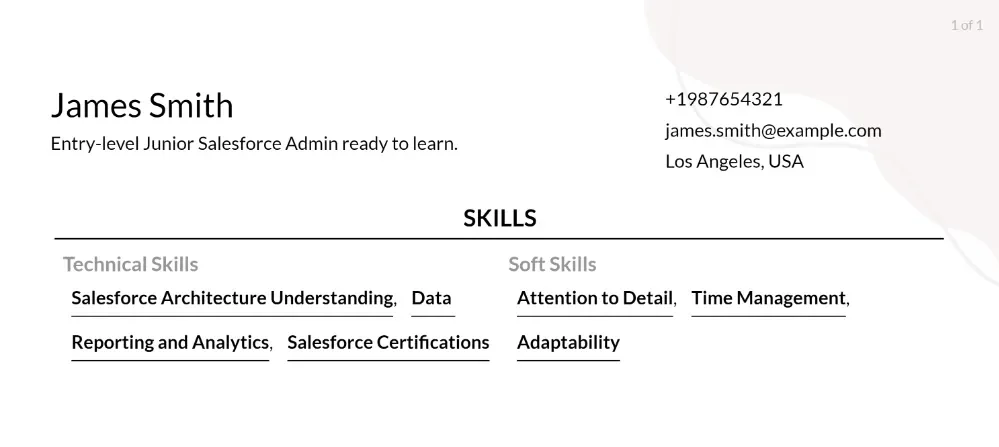 junior salesforce admin resume skills