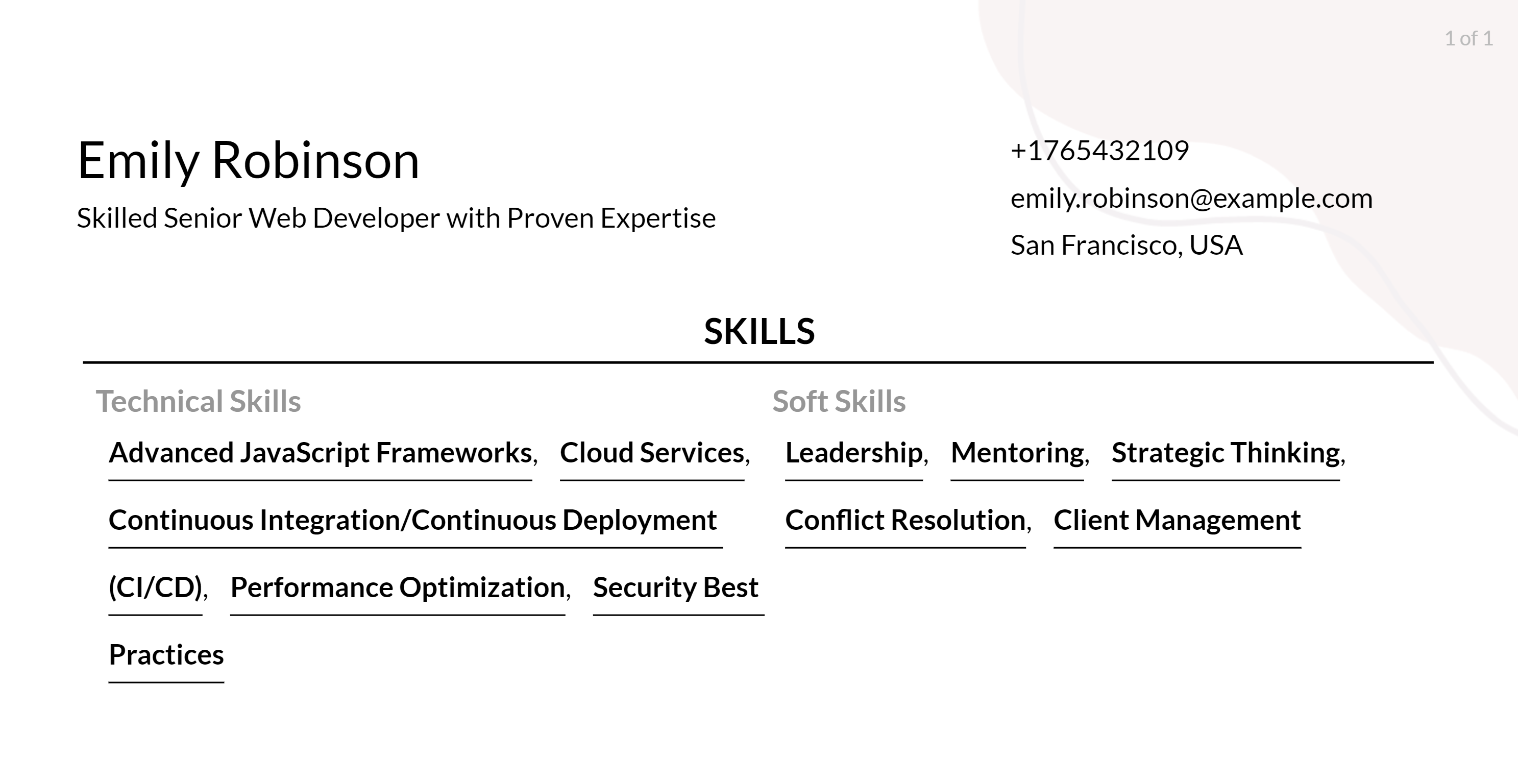 senior web developer resume skills