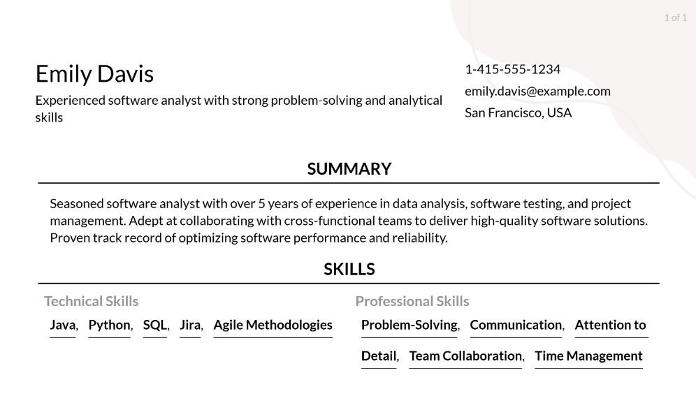 Software Analyst