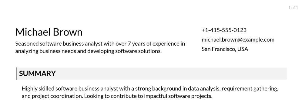 Software Business Analyst