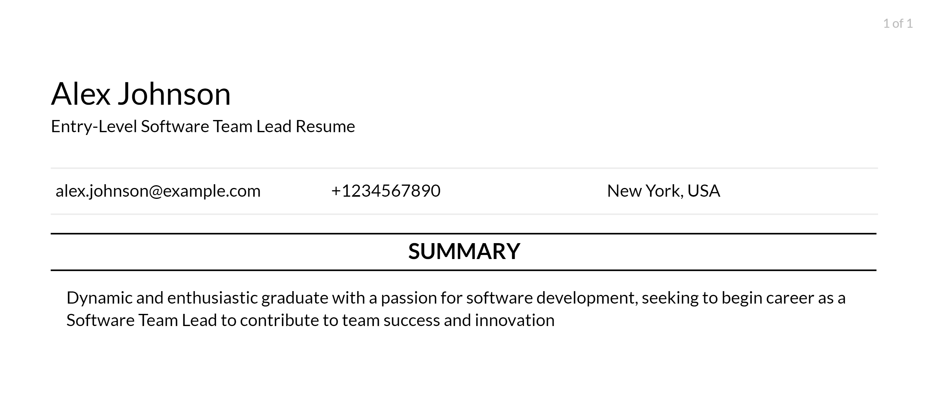 software team lead resume objective