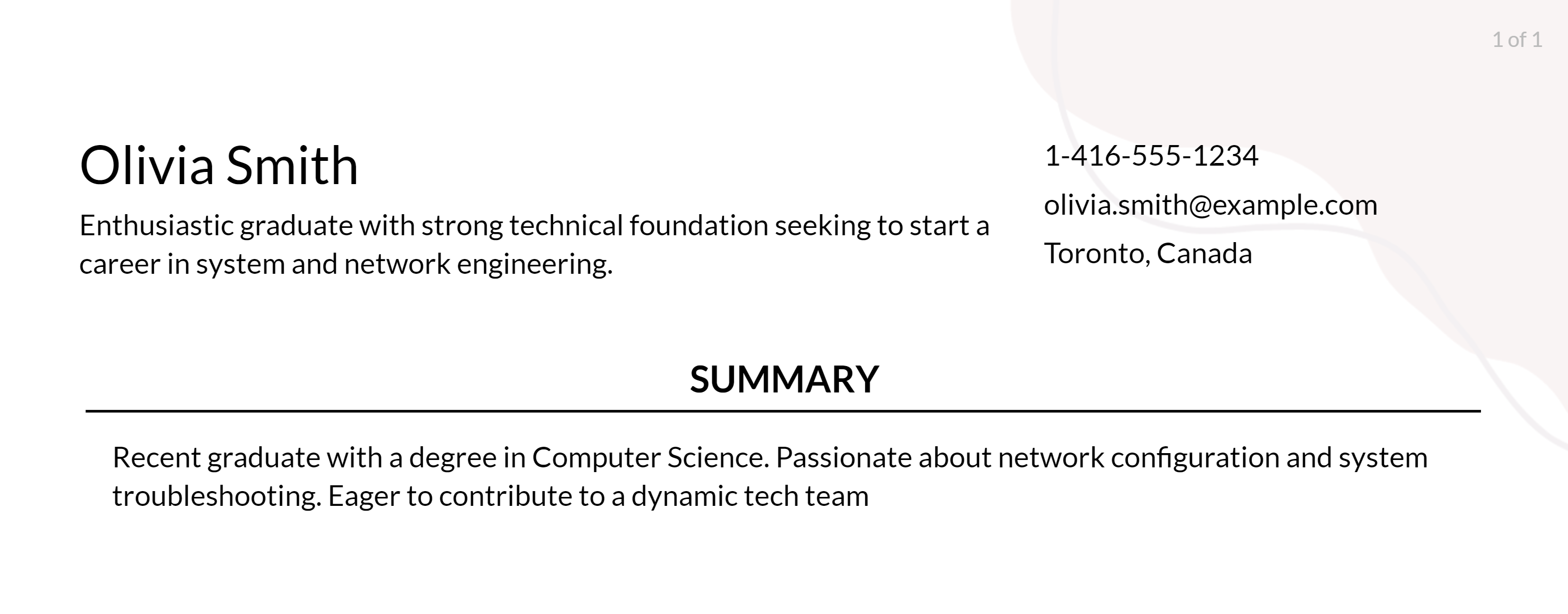 system and network engineer objective