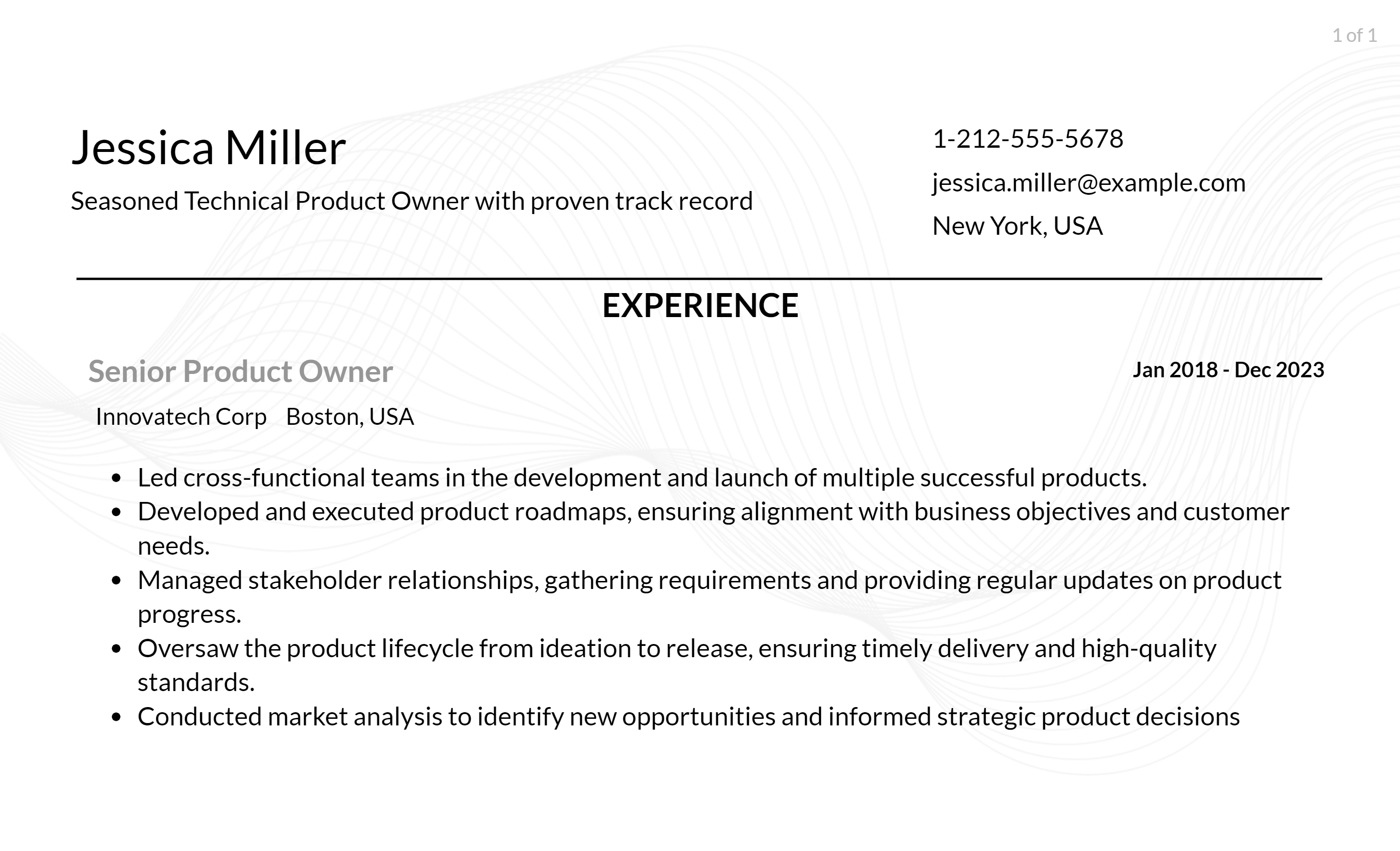 technical product owner resume responsibilities