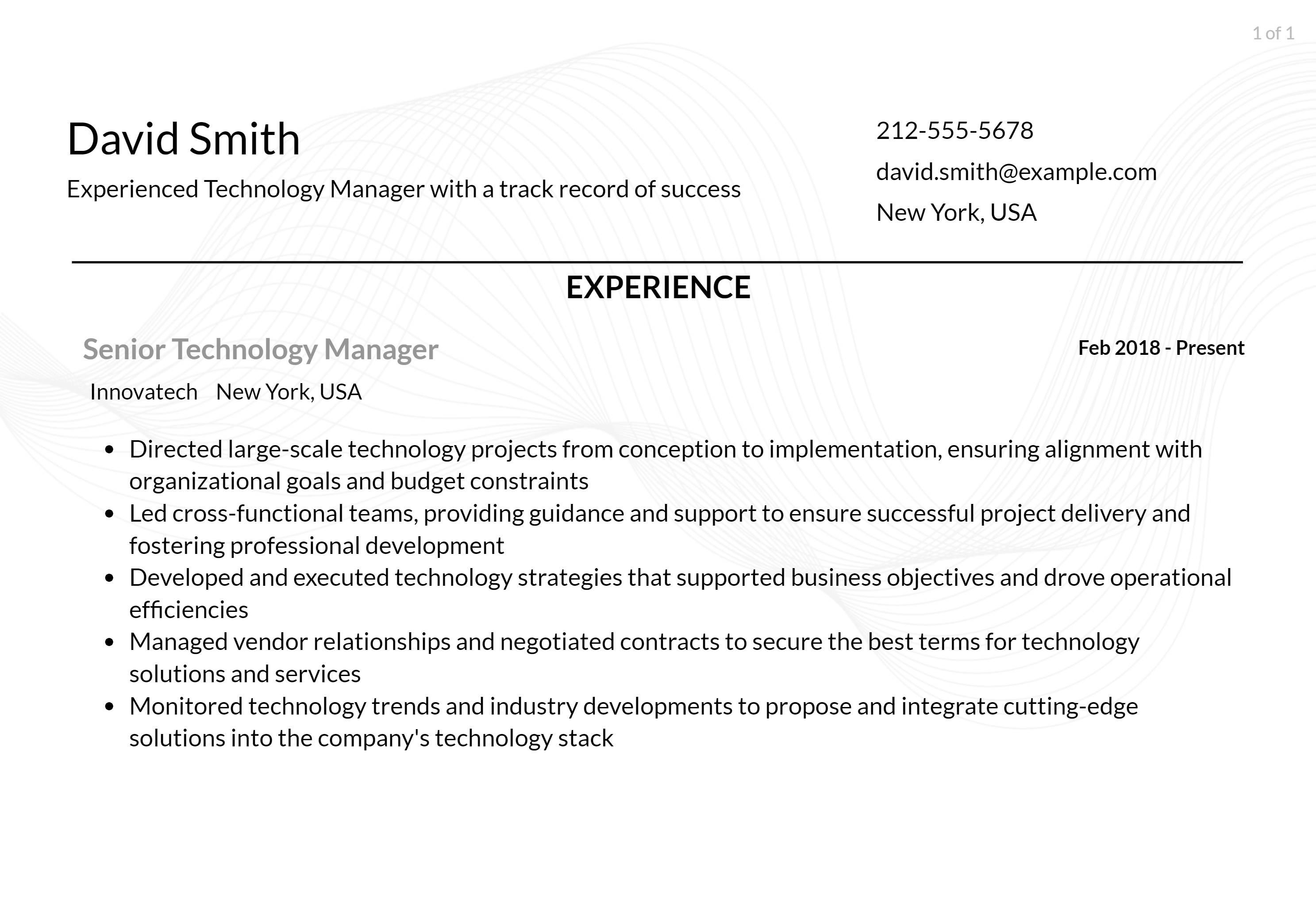 technology manager resume responsibilities