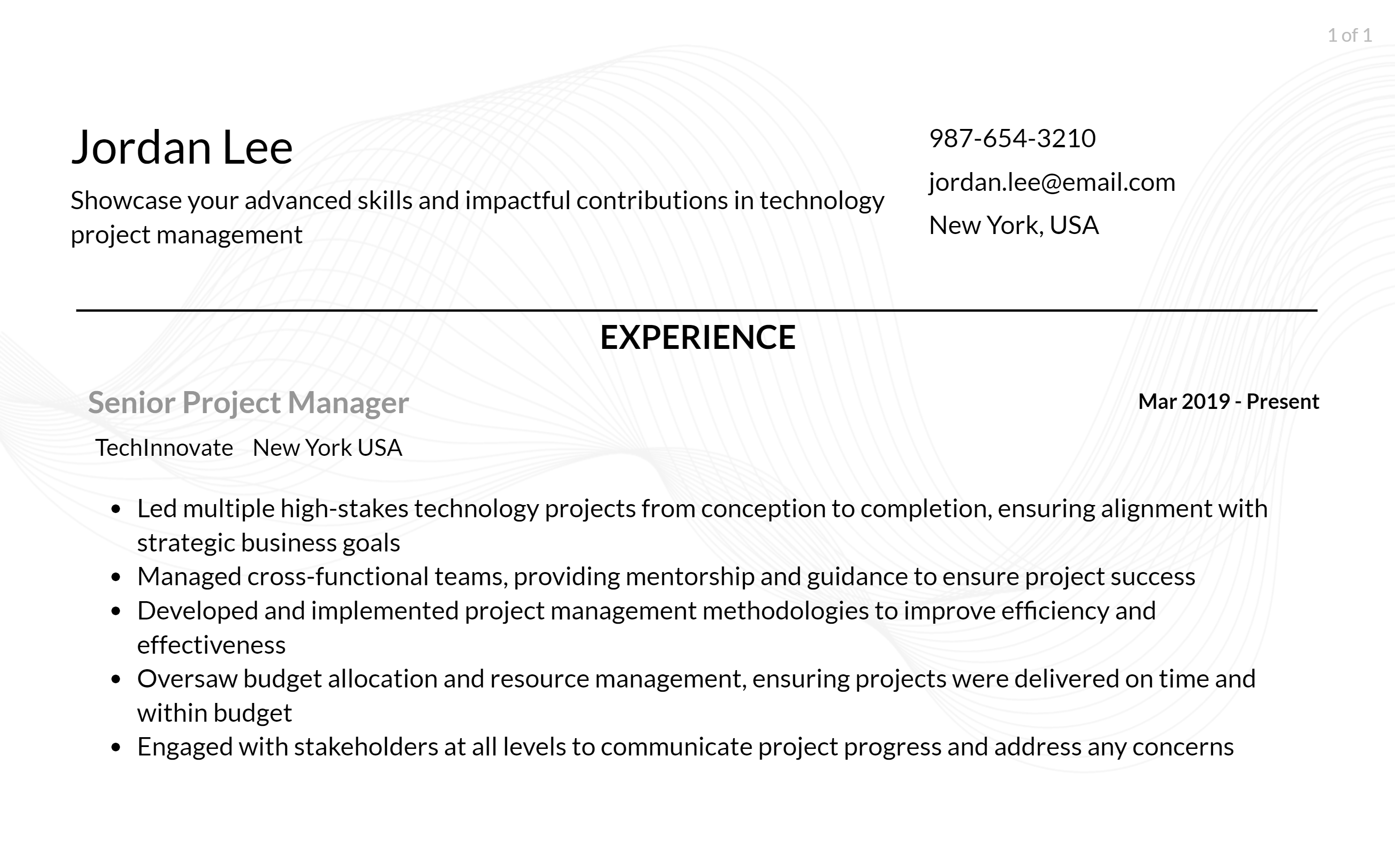 technology project manager resume responsibilities