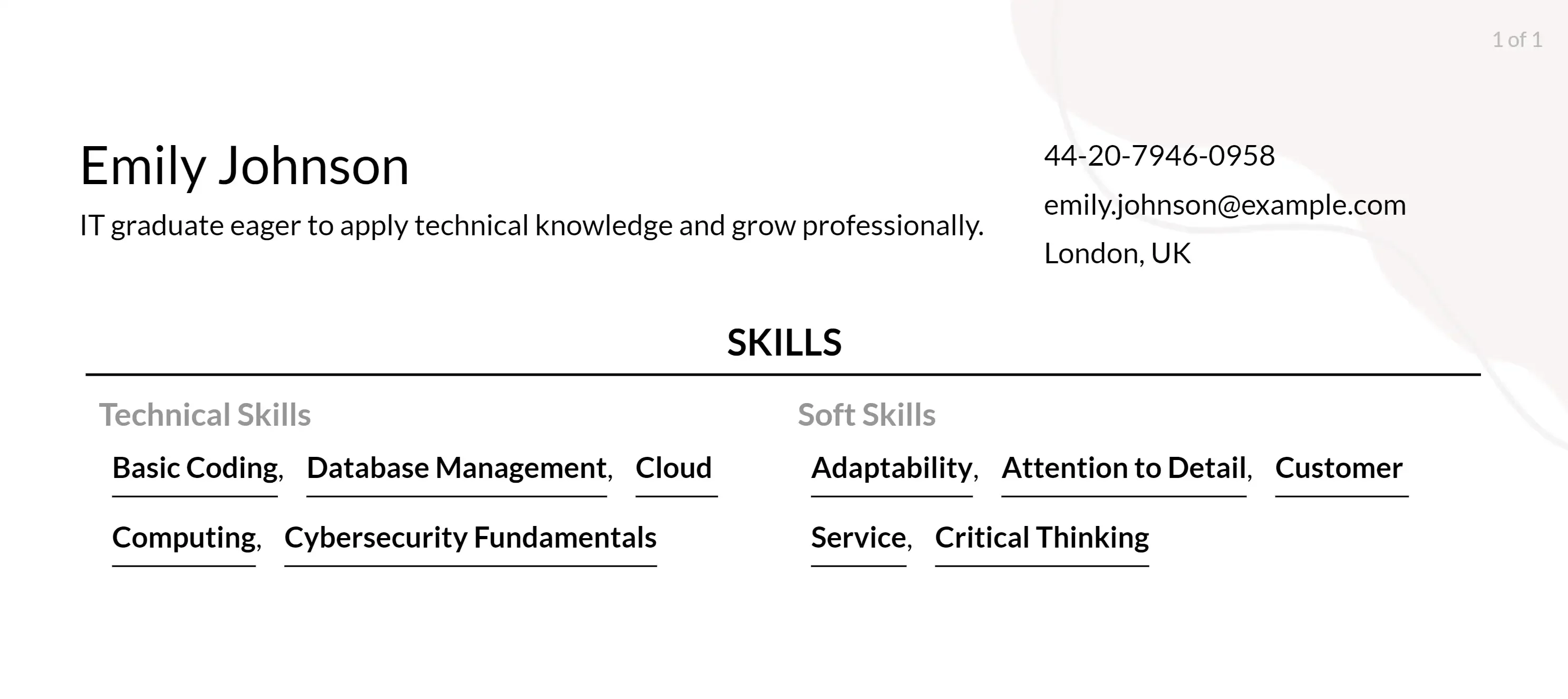 entry-level it skills