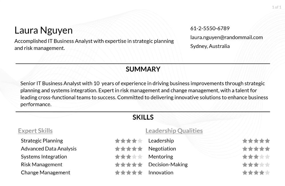 IT Business Analyst