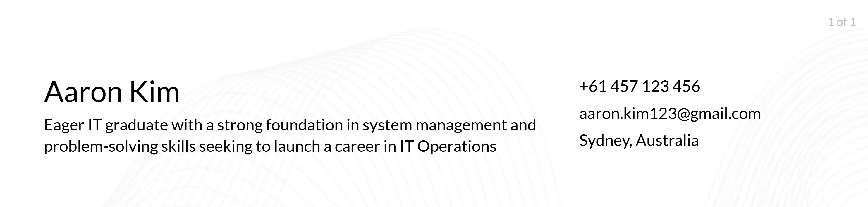 IT Operations Manager