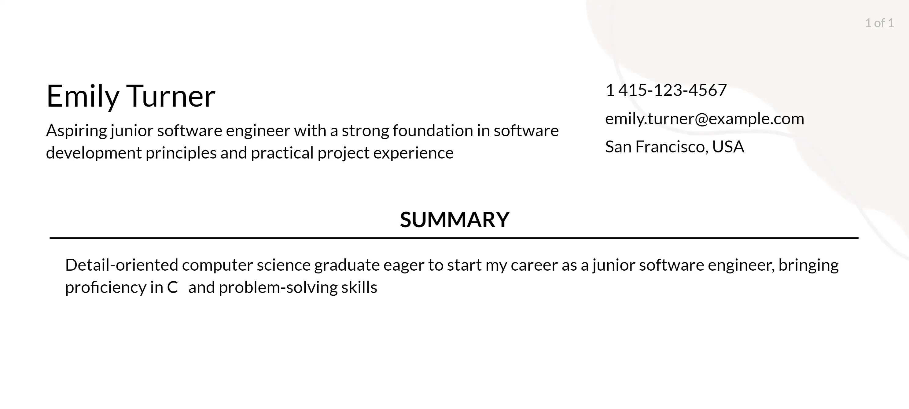 junior software engineer resume objective