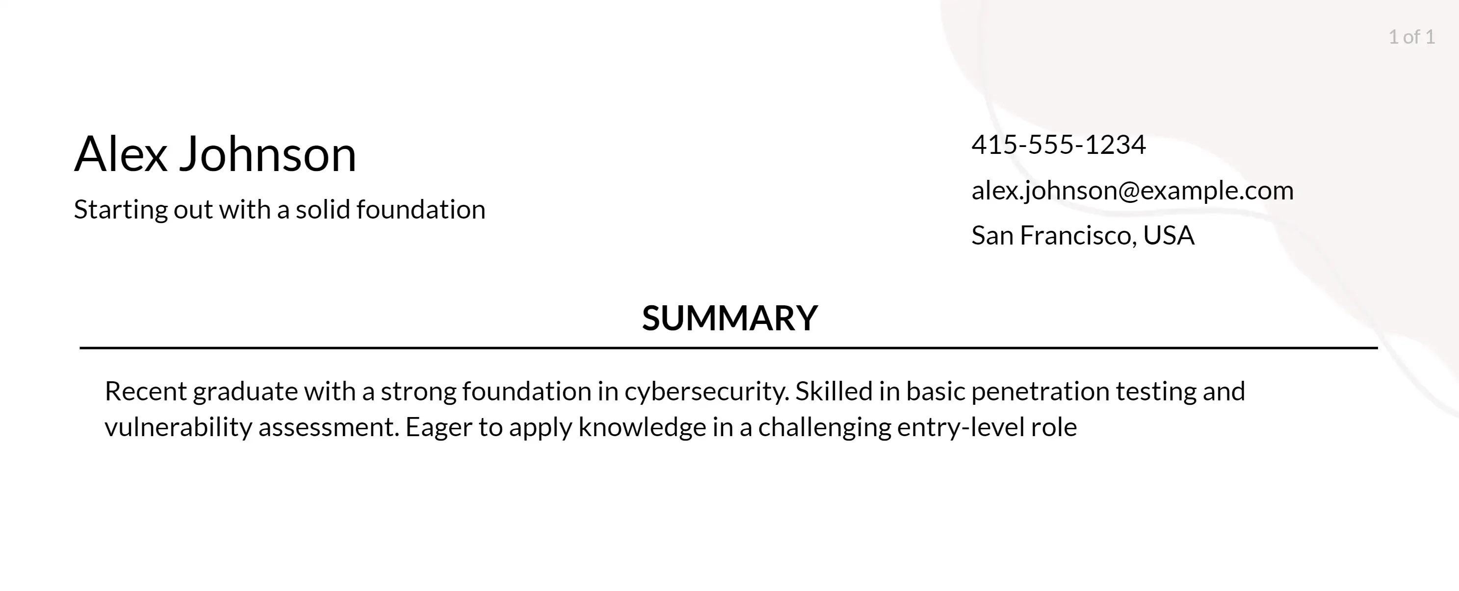 penetration tester resume objective