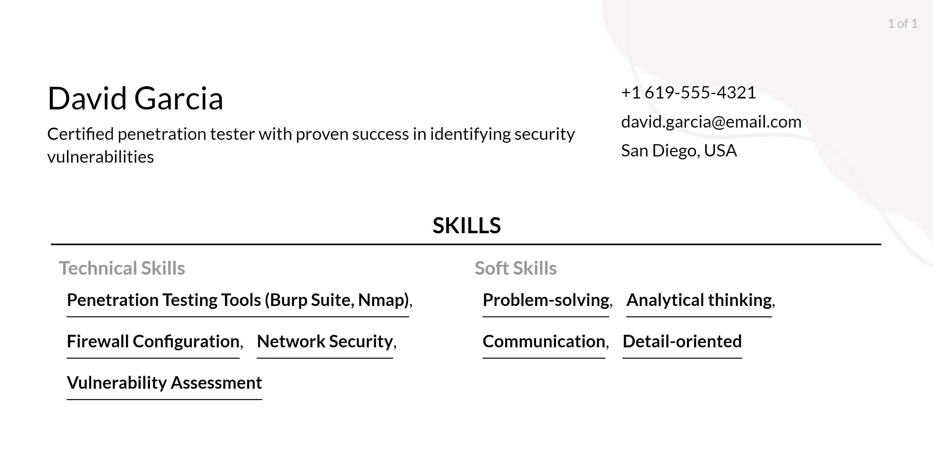 penetration tester skills